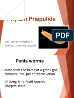 Phylum Priapulida: Ger, Lauren Christine E. Tablizo, Catherine Joyce B