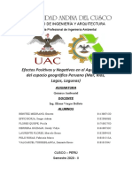 Investigación Formativa - Efectos Positivos y Negativos en El Agua, Dentro Del Espacio Geográfico Del Perú - Química Ambiental