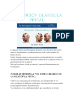 Disfunción Glándula Pineal