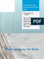 Water Roots and Stem