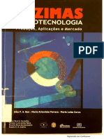 Enzimas em Biotecnologia - capítulo 10 -  Enzimas na produção de etanol.pdf