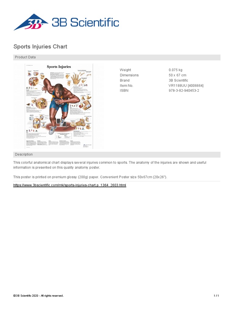 Sports Injuries Chart: © 3B Scientific 2020 - All Rights Reserved. 1 / ...