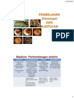 CLEAVAGE-AND-BLASTULA.pdf