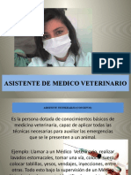 Asistente de Medico Veterinario
