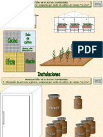 Cultivo in Vitro Instalaciones