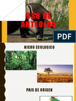 Exposicion Biologia Jorge Giron2 PDF
