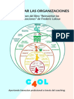 Paradigma-Organizaciones Completo PDF