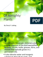 The Book of Almighty Plants