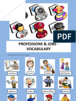 Professions & Jobs 2020 02 Vocabulary