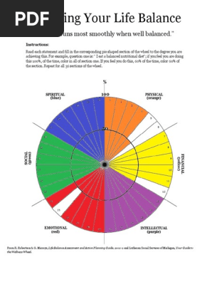 Damaso, Jonnete - Wellness Wheel Test