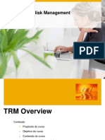 Apresentação - Treasury and Risk Management PDF