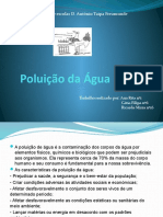 Poluição Da Água