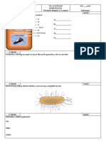 FI 505030701 1 - Biologia7TZ2