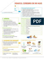 Infografia Cuidar El Cerebro