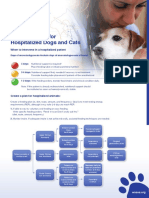 Feeding-Guide-for-Hospitalized-Dogs-and-Cats - PDF Version 1