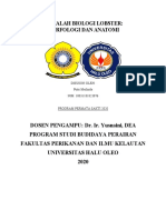 Putrimeilinda - 10031181823076 - Universitas Sriwijaya - Makalah Morfologi Dan Anatomi Lobster