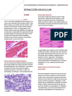 2.contraccion Muscular PDF