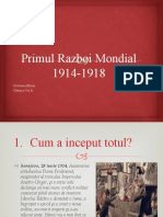 Istorie - Primul Razboi Mondial