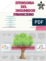 Defensoria Del Consumidor Financiero