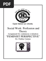 Social Work: Profession and Theory "Feminist Perspective": Assignment For Continuous Evaluation