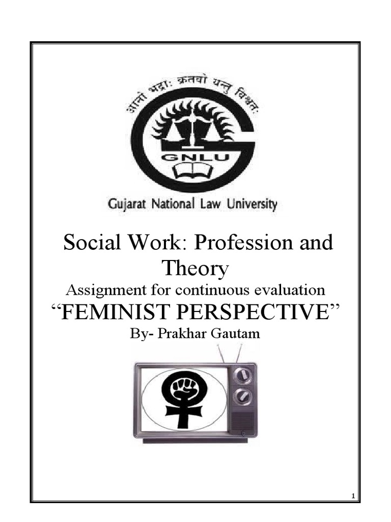Feminist Perspectives in Social Work | PDF | Feminism | Gender Studies