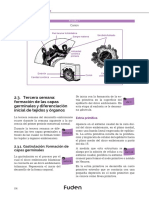 OPE2019 Ejemplomatronas Temario 4