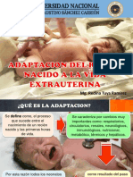 Adaptacion Del RN A La Vida Extrauterina 2020-I PDF