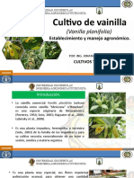 Cultivo de vainilla: establecimiento y manejo agronómico