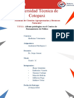 Anatomia Patologica Informe Camal