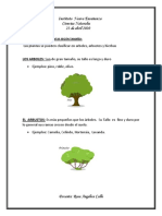 Clasificación de plantas por tamaño