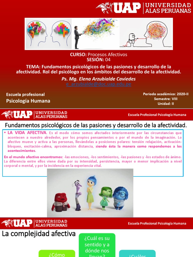 Fundamentos de la Afectividad en Psicología | PDF | Las emociones | Vida