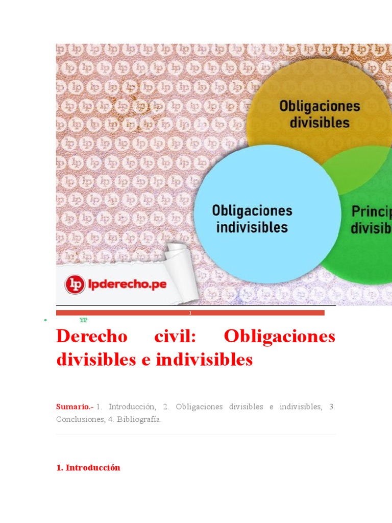Obligaciones Divisibles e Indivisibles | PDF | Gobierno | Justicia