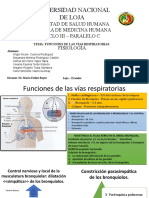 Fisiologia Pulmones