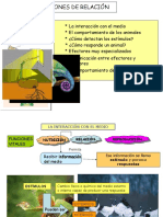 Tema 3. Funciones de Relación