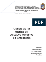 Analisis de Las Teorias Del Cuidado Humano en Enfermeria (Luis Andrade)