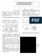 Examen Final de Historia 4