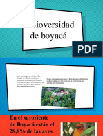 BIOVERSIDAD DE BOYACA.pptx