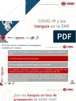 Tianguis COVID-19 2020 v1
