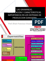 Clase 4 Las Gramineas (1).pdf