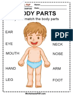 Identify and Match The Body Parts