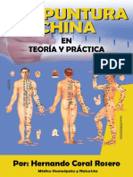 Acupuntura China en Teora y Prctica (Spanish Edition)
