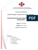 Preguntas-Formacion de La Placenta