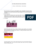 SISTEM ORGANISASI PADA MANUSIA fix.doc