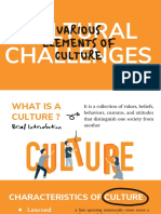 Identify Various Elements of Culture