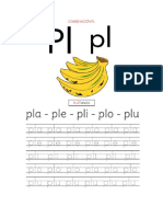 Combinación PL - GL