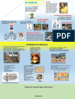 Infografia Lagrima de Angel