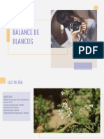 Balance de Blancos-Huallpa Kimberly PDF