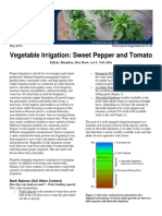 Vegetable Irrigation_ Sweet Pepper and Tomato.pdf