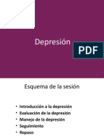 3 Depresión Slides
