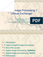 Digital Image Processing 1 (Virtual Exchange)